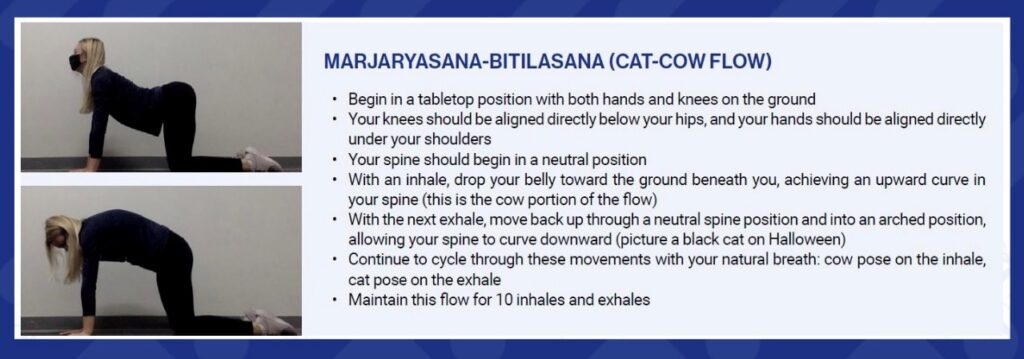 Marjaryasana-Bitilasana (Cat-Cow Flow)