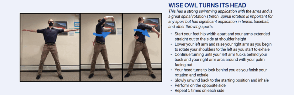 Tai Chi: Wise owl turns its head