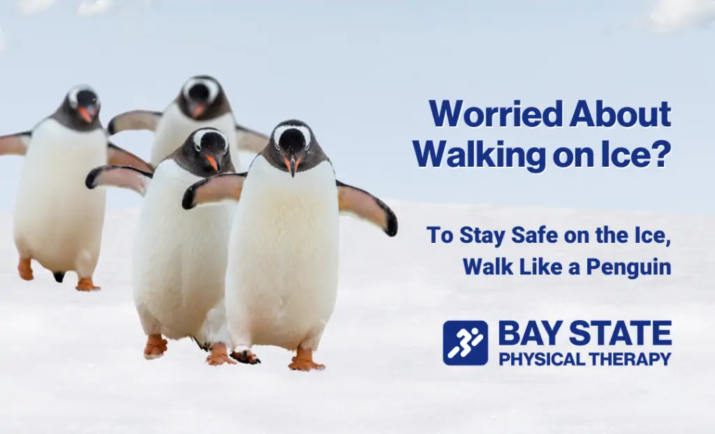 Worried about falling on ice? Walk like a penguin!