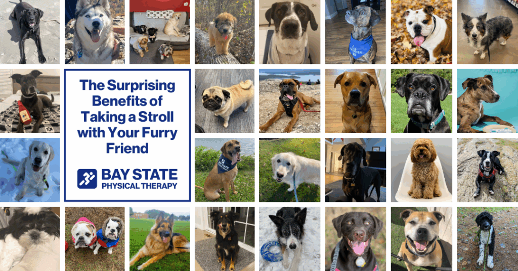 The Surprising Benefits of Taking a Stroll with Your Furry Friend