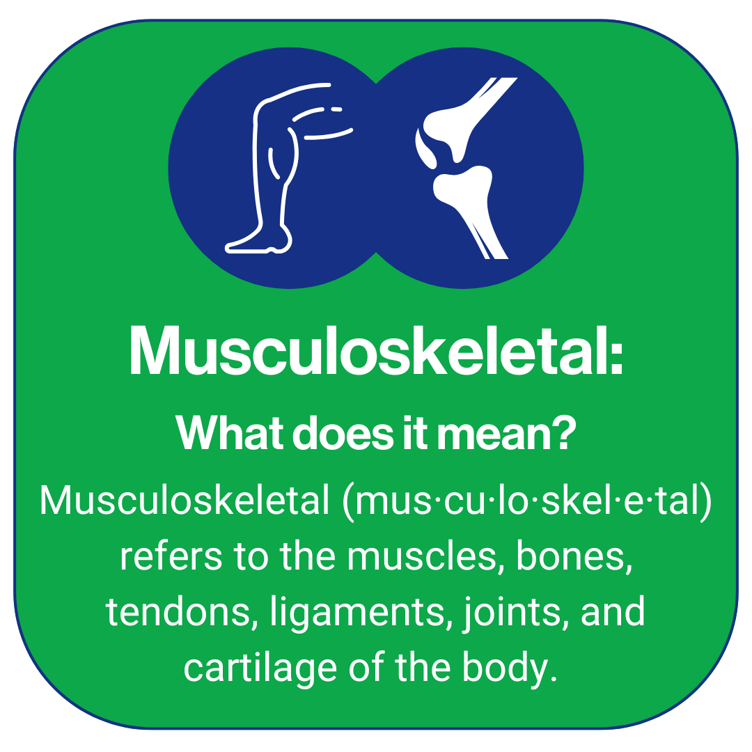 Infographic defining "musculoskeletal" in the context of physical therapy as a first line of defense for health