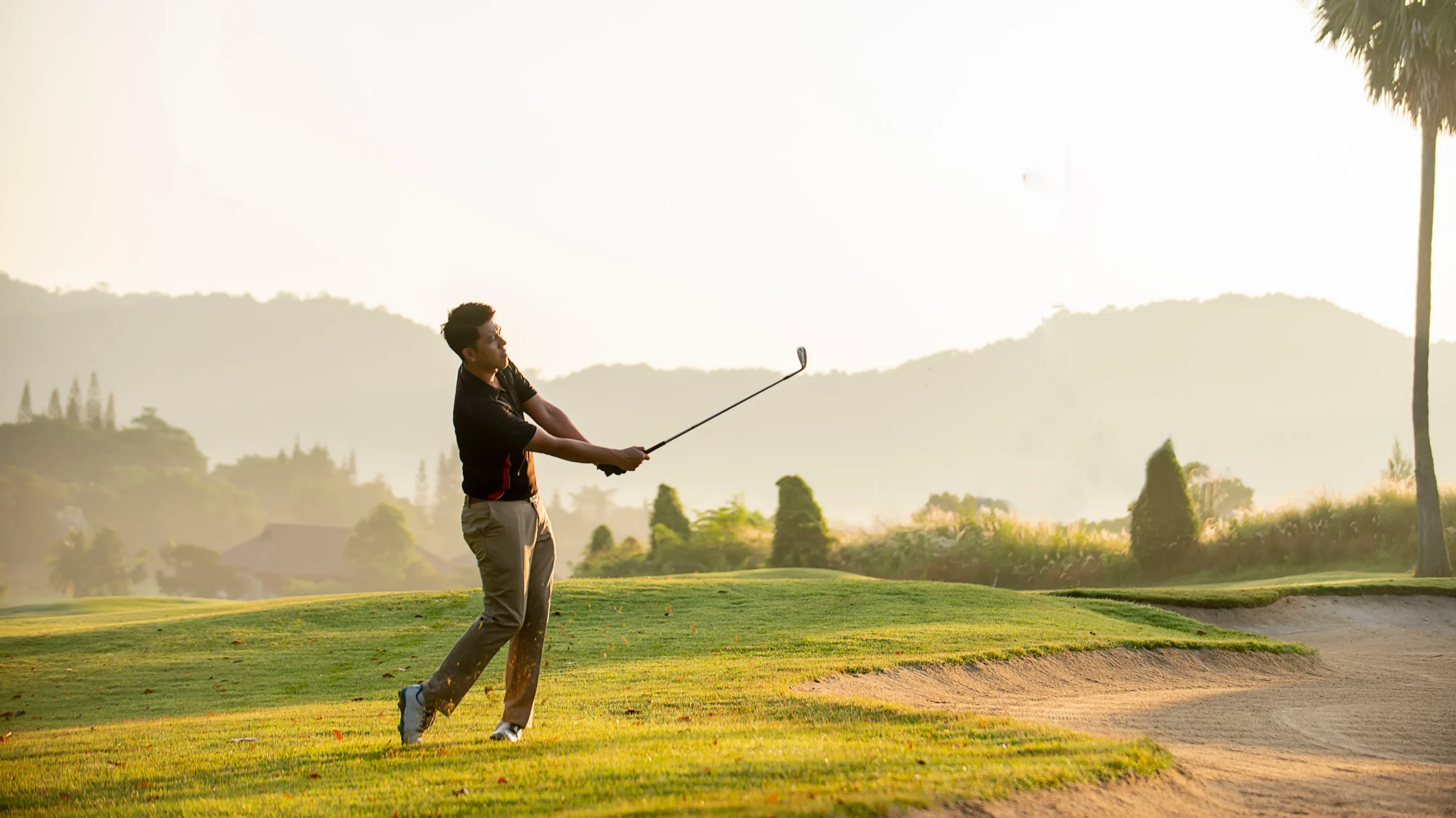 A man plays golf on a vibrant course, with a palm tree standing tall in the background.