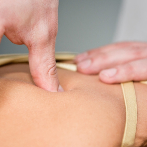 Baystate-Physical-Therapy-Massachusetts-Rhode-Island-Maine-New-Hampshire-New-York-trigger-point